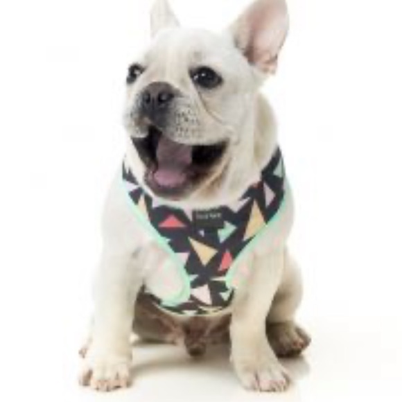 🆕FuzzYard Rad Dog Harness | Large|Charcoal with Pink, Orange and Teal Triangles - Picture 4 of 7